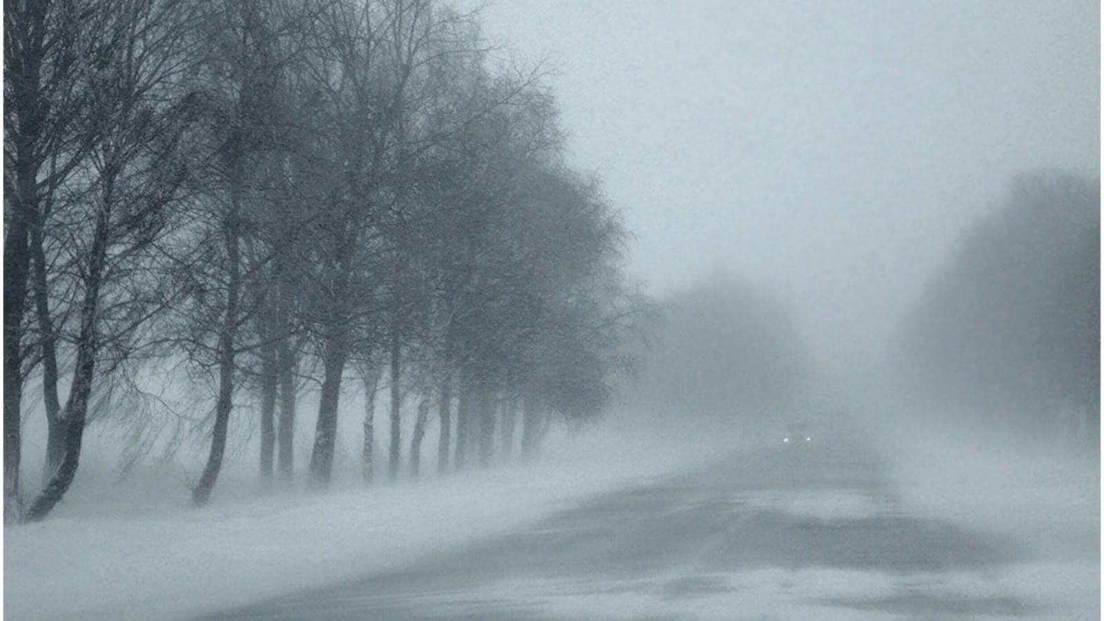 Условиях сильного тумана. Зима туман. Сильный туман. Туман в снегу. Туман зимой на дороге.